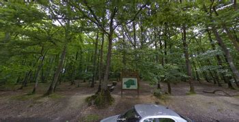 BOIS DE LHUISSERIE à Laval lieu de drague sur LAVAL